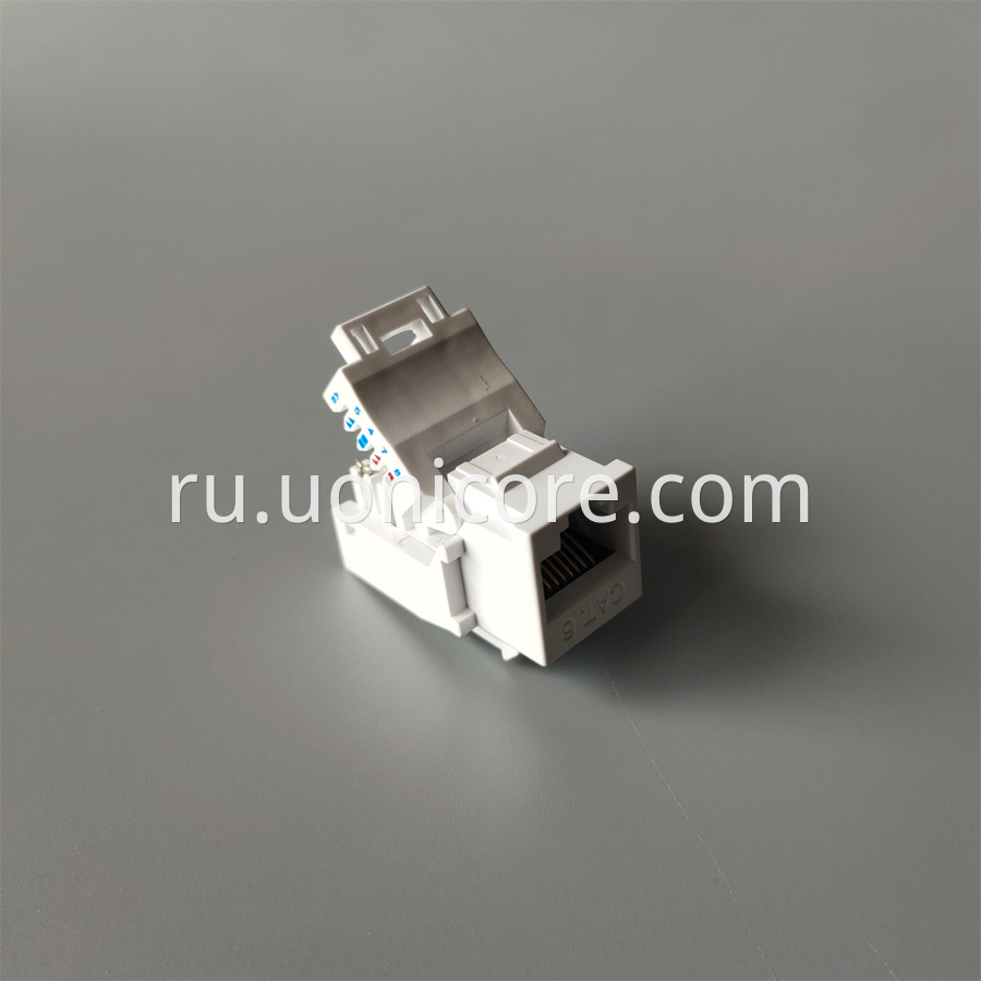 UTP CAT6 RJ45 Jack